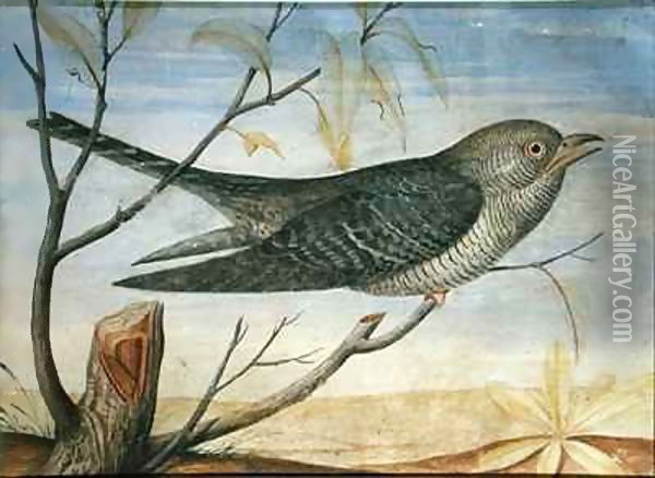 A Cuckoo perched on a Branch Oil Painting - Carlo Battaglia