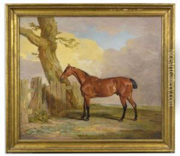Butcher's Boy, A Bay Hunter Once Owned By R. Lambton, Esq., Master Of The Sedgefield Hunt (formerly Titled: Hunter In A Landscape) Oil Painting - Benjamin Marshall