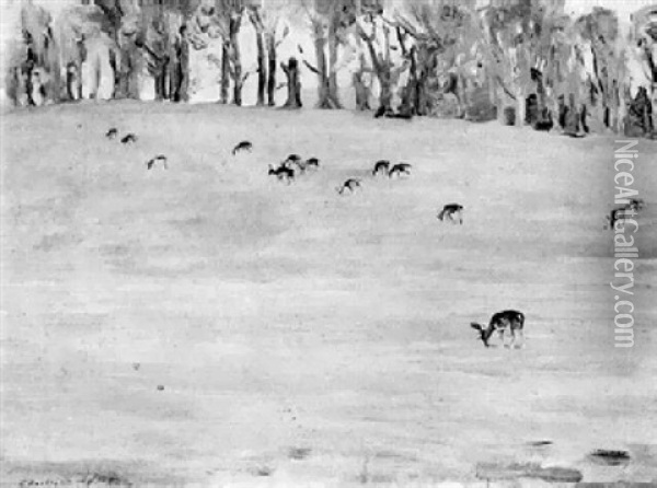 Deer Grazing In Parkland Oil Painting - Charles Sims