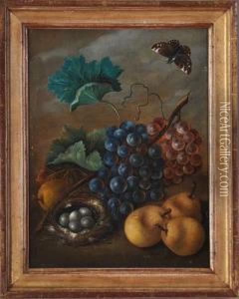 Still Life With Fruit And Moth Oil Painting - Sebastian Wegmayr
