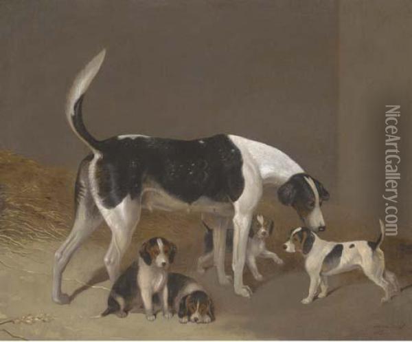 A Foxhound And Her Litter Oil Painting - Edwin, Beccles Of Cooper