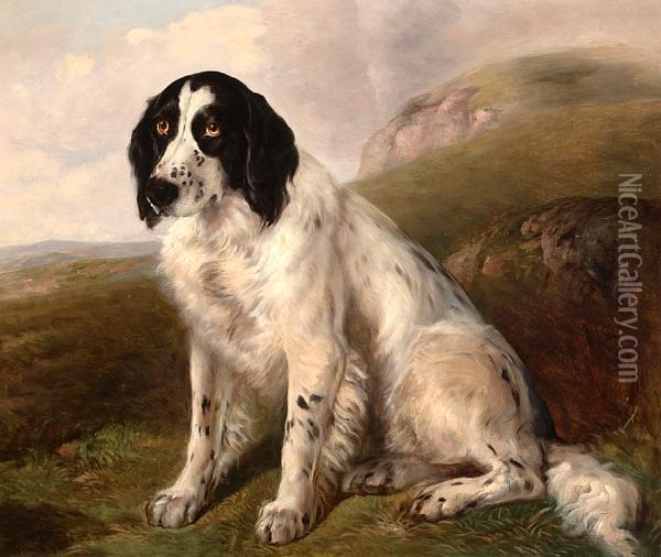 A Spaniel In An Extensive Landscape Oil Painting - Walter Harrowing