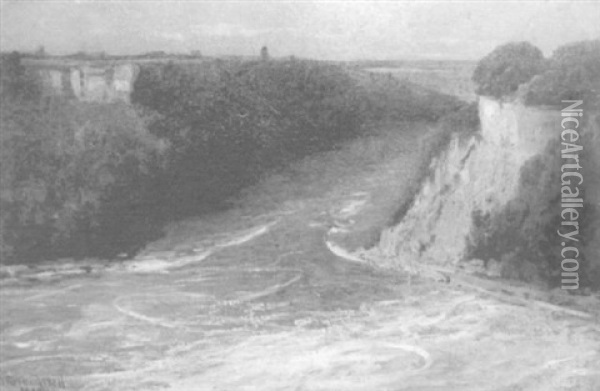 The Whirlpool, Niagara Falls Oil Painting - Joseph (or James) R. Woodwell