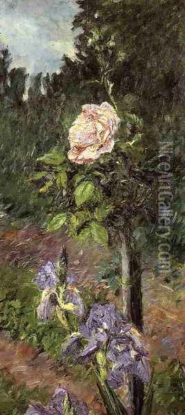Rose With Purple Iris Garden At Petit Gennevilliers Oil Painting - Gustave Caillebotte
