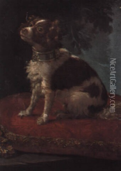 A Spaniel On A Cushion Oil Painting - Giacomo Ceruti