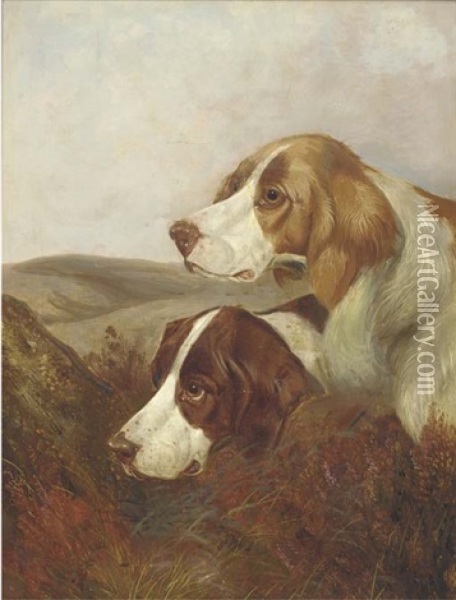 A Brace Of Pointers Oil Painting - Colin Graeme