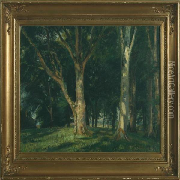 Forest Scenery Oil Painting - Christian Zacho