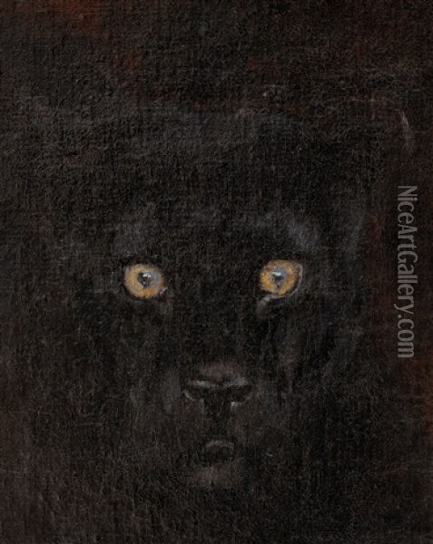 Black Panther Oil Painting - Arthur Loureiro