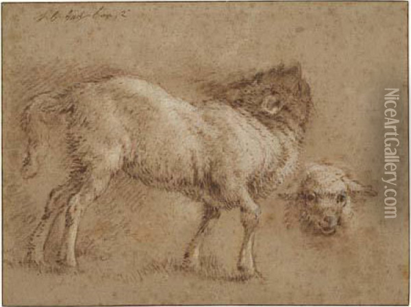 Studies Of Sheep Oil Painting - Jean-Baptiste Huet I