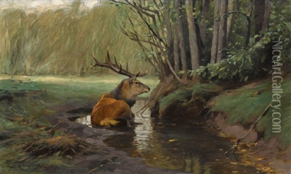 Hirsch In Der Suhle Oil Painting - Wilhelm Friedrich Kuhnert