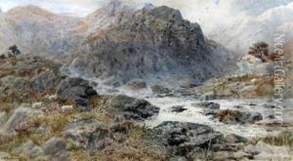 Mountain Stream, North Wales Oil Painting - James William Whittaker