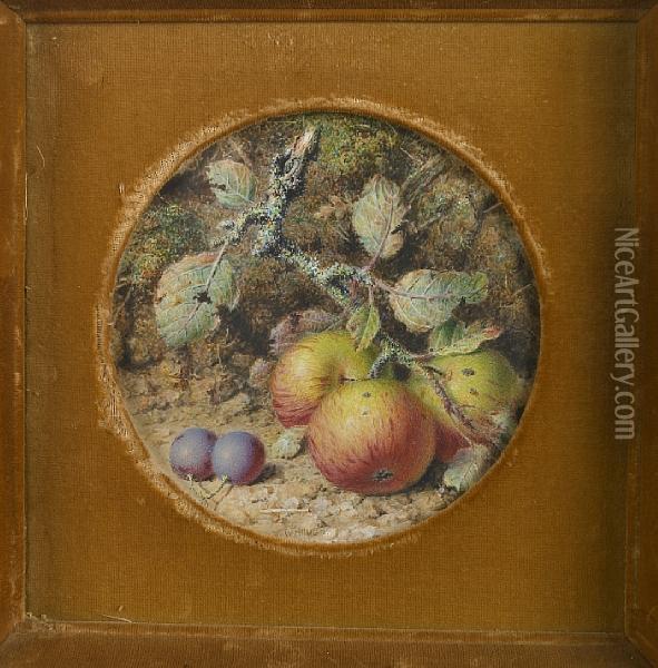 A Still Life With Apples Oil Painting - William B. Hough
