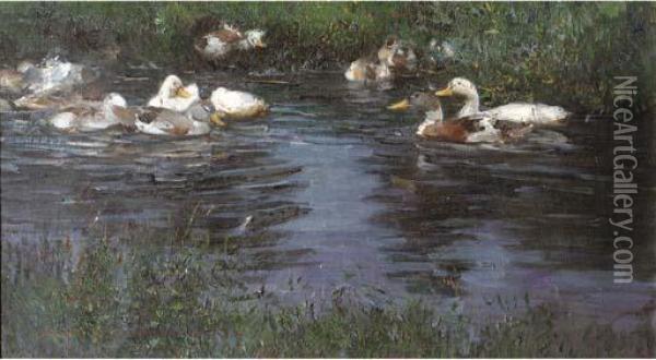 A Peaceful Swim Oil Painting - Rudolf Schramm-Zittau