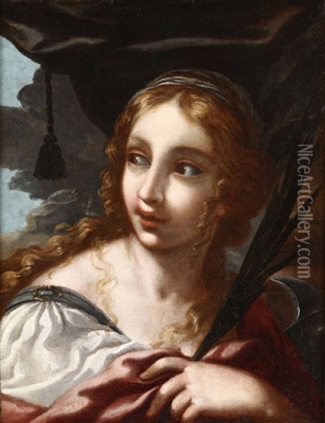 Santa Caterina Dalessandria Oil Painting - Salvi Castellucci
