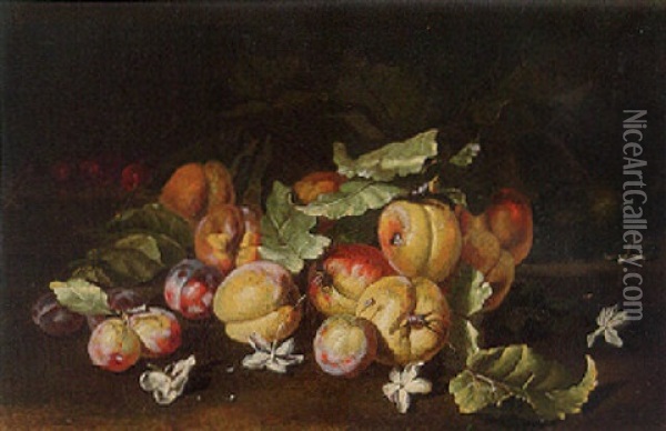 Peaches, Plums, Cherries And Blossom On A Bank Oil Painting - Abraham Brueghel