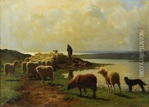 Troupeau De Moutons En Bord De Mer Oil Painting - Auguste Bonheur