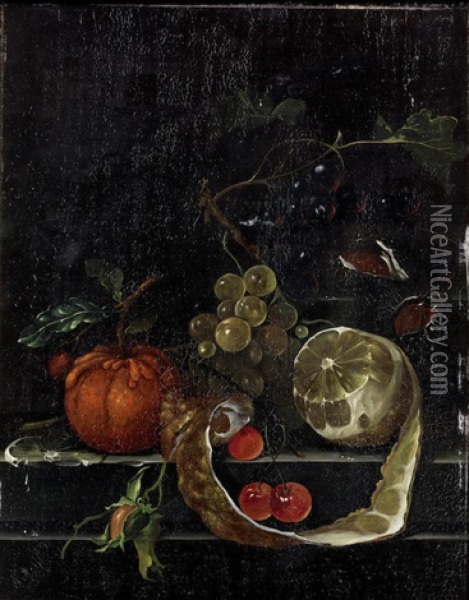 A Lemon, Grapes, Cherries And Other Fruit With A Flower On A Stone Ledge Oil Painting - Jan Davidsz De Heem