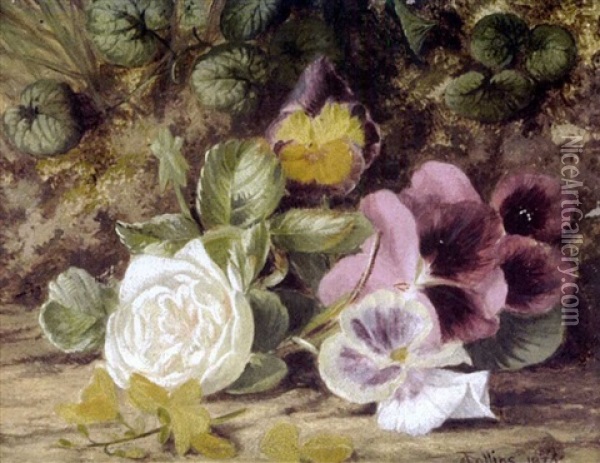Naturaleza Muerta Con Rosa (still Life With Rose) Oil Painting - Thomas Collins