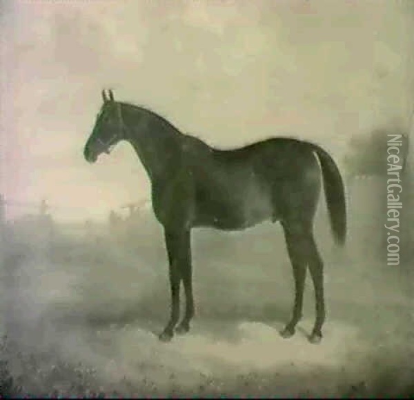 Pferdestuck. Oil Painting - Harry Hall