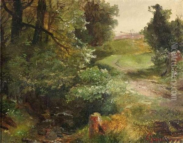 Drivewayalong A Brook In A Summery Landscape Oil Painting - August Albert Zimmermann