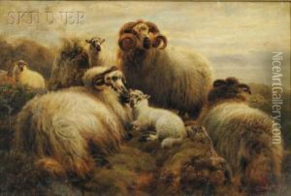 Flock Of Sheep On A Hillside Oil Painting - Robert Burns Wilson