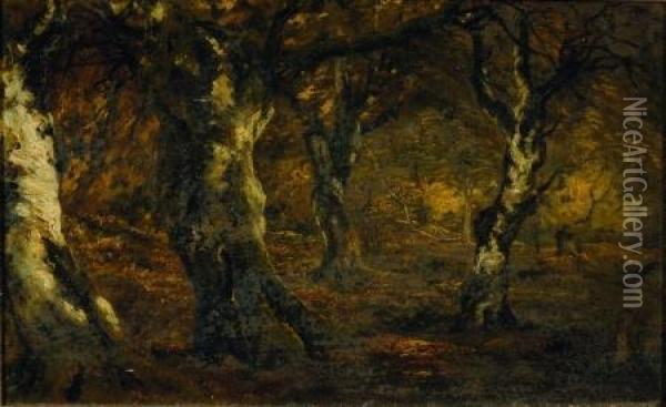 In The Forest/a Barbizon Scene Oil Painting - Narcisse-Virgile D Az De La Pena