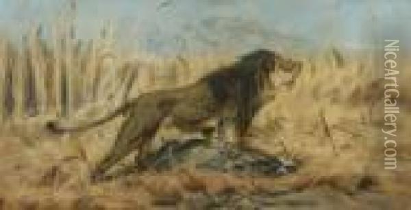 Lowe Mit Erbeuteter
 Gazelle. Oil Painting - Wilhelm Kuhnert