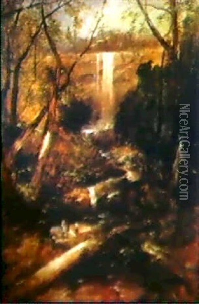 Willoughby Falls, New South Wales, Circa 1842 Oil Painting - John Skinner Prout