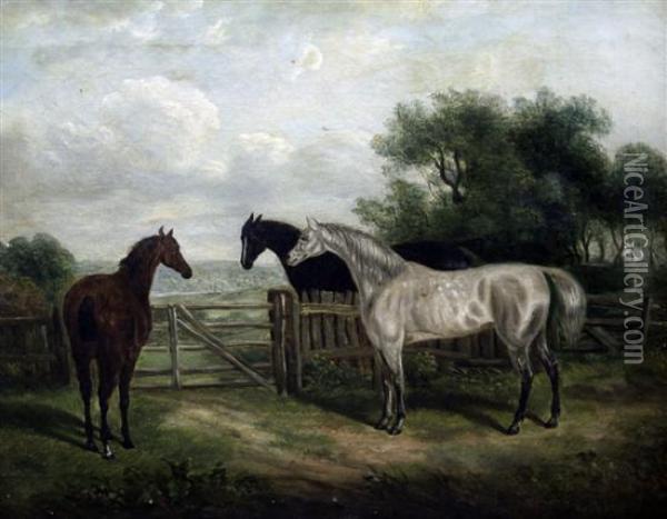 Three Horses Beside A Gate Oil Painting - Thomas Smythe