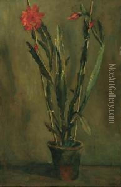 Flowering Cactus In A Pot Oil Painting - Simon Maris