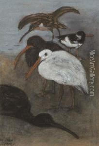 Curlews Oil Painting - Theodorus Van Hoytema