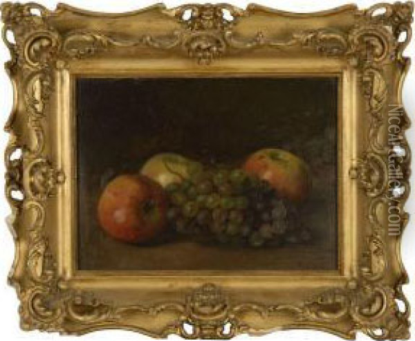 Still Life With Apples And Grapes Oil Painting - Rudolf Tschudi
