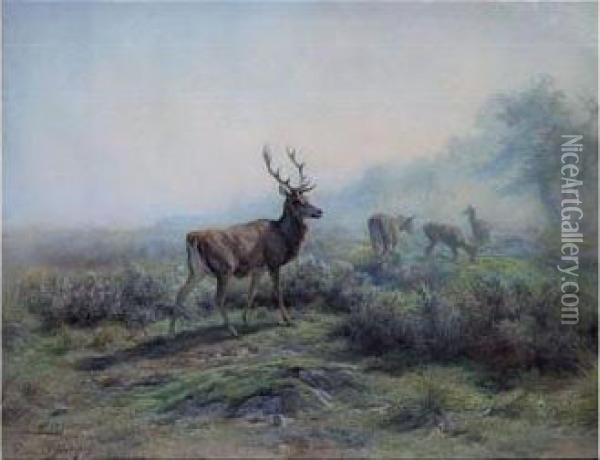 The Deer, Morning Effect (les Cerfs, Effet Du Matin) Oil Painting - Rosa Bonheur