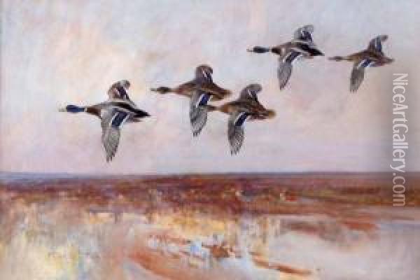 Mallard In Flight Over An Estuary Oil Painting - Frank Southgate
