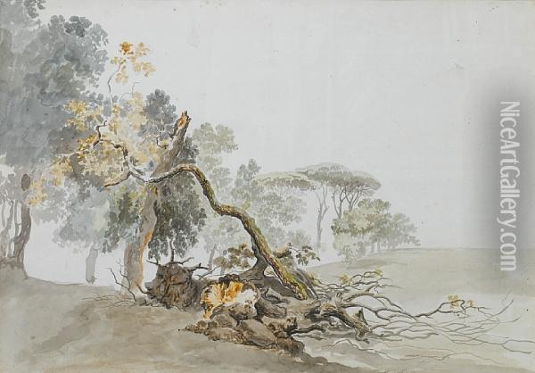 A Study Of Trees Oil Painting - Carlo Labruzzi