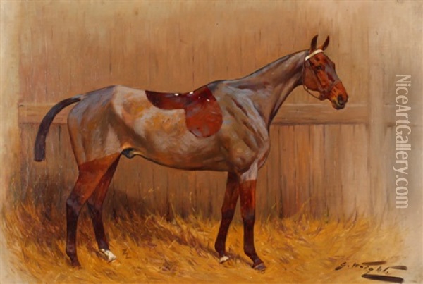 Equestrian Portrait Oil Painting - George Wright