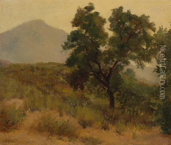 Early Morning, Alpine Oil Painting - Charles Arthur Fries