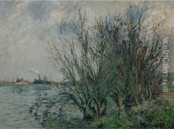 Saules, Bords De L'oise Oil Painting - Gustave Loiseau