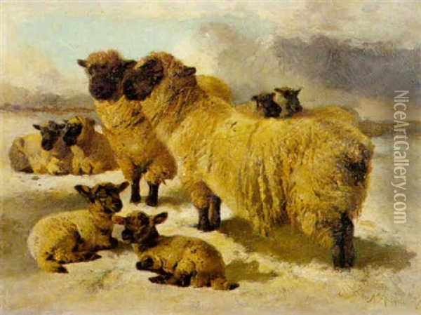 Sheep In The Snow Oil Painting - Richard Ansdell