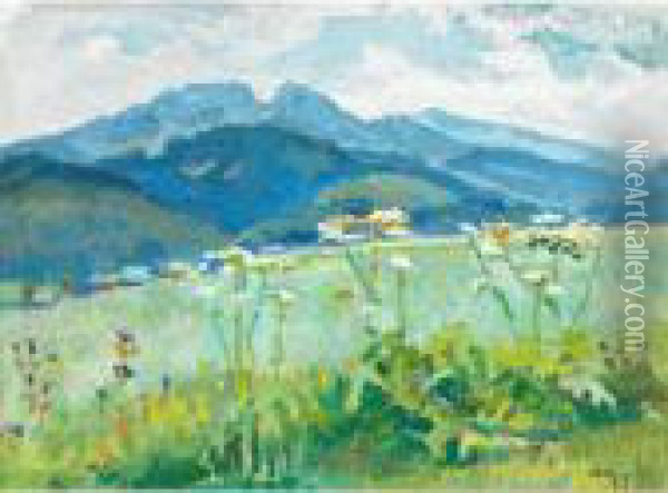 Mountain Meadow Oil Painting - Stanislaw Kamocki