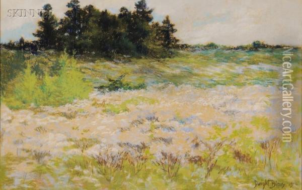 Spring Landscape Oil Painting - Dwight Blaney