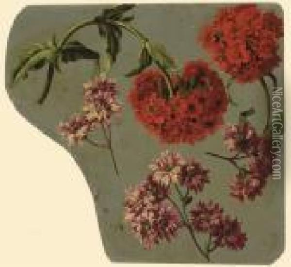 Chrysanthemes Mauves Et Lychnis Chalcedonia Rouge Oil Painting - Pancrace Bessa