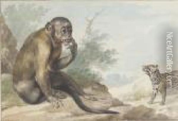 A Monkey Seated On A Rock Looking At A Civet Oil Painting - Aert Schouman