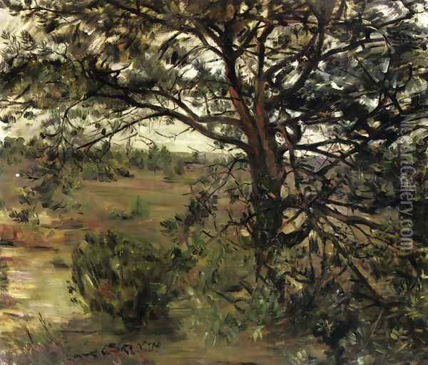 Luneberger Heide Oil Painting - Lovis (Franz Heinrich Louis) Corinth
