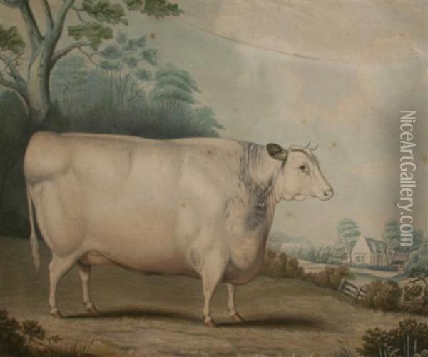 The Habertoft Short Horned Prize Cow Oil Painting - Bennet Hubbard