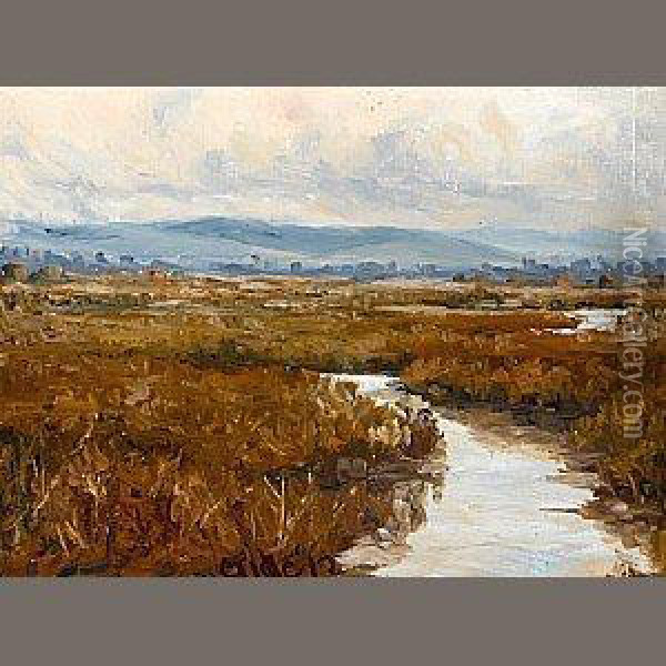 Marsh Land Oil Painting - Selden Connor Gile