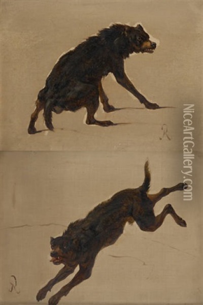 Chien (study) Oil Painting - Louis Robbe