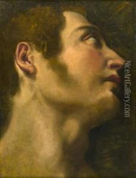 Tete D'homme En Contre-plongee De Profil Droit Oil Painting - Giulio Cesare Procaccini