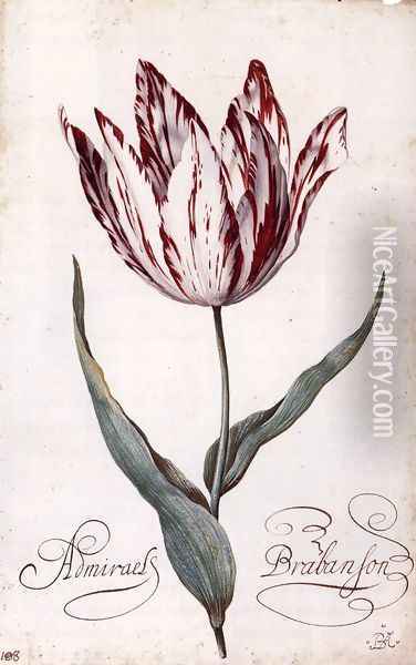 Tulip Oil Painting - Balthasar Van Der Ast