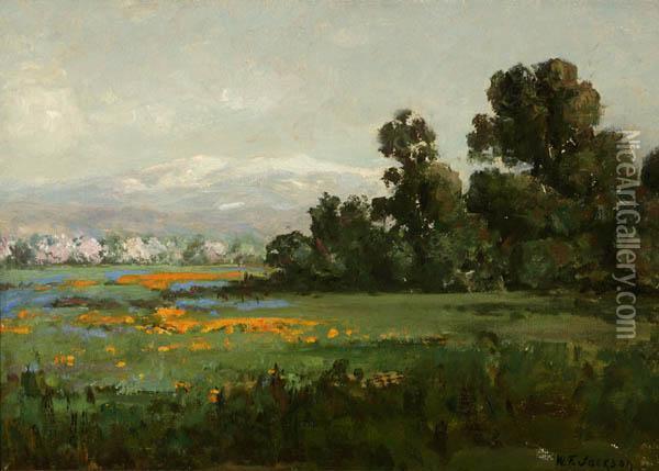 California Landscape With Poppies Oil Painting - William Jackson